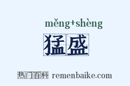 猛盛是什么意思的图片